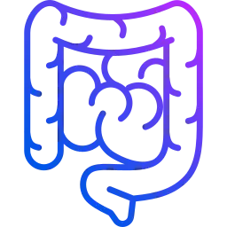 Digestive tract icon, Colon Hydrotherapy Service