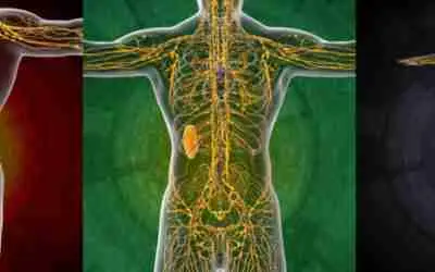 Unlocking Wellness: The Power of Lymphatic Drainage Massage