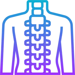 Body with spine highlighted Icon