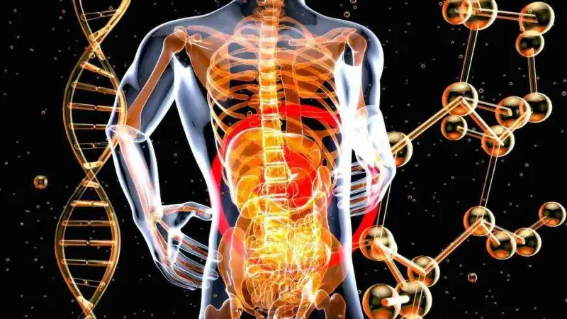 Myoskeletal Alignment Technique: Improving Mobility and Posture